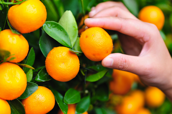 Gratuluję i dziękuję! … o docenianiu pracowników. Część II