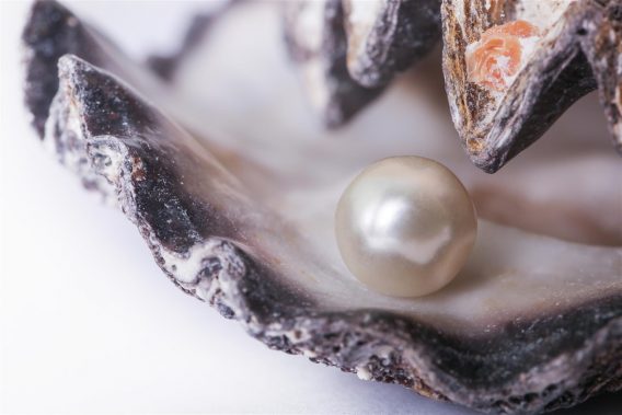 Decyzja w  dobrym stylu