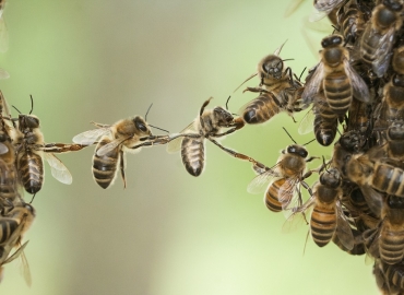 Odważny feedback – droga po zaufanie