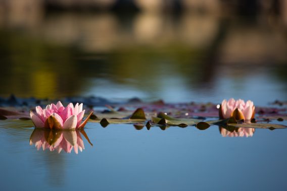 Jak budować empatyczne podejście w kontakcie z drugą osobą