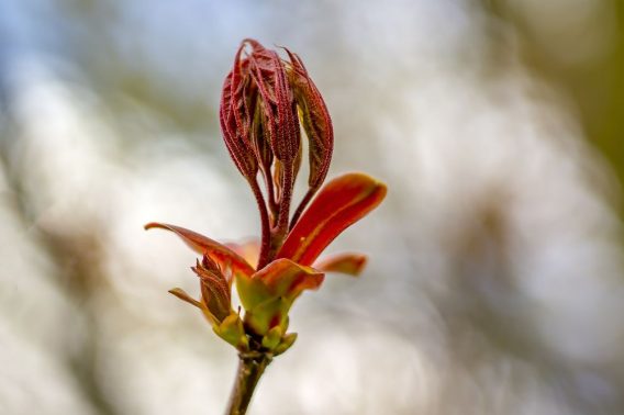 Emocjonalny Ład – Życie jest baśniowe